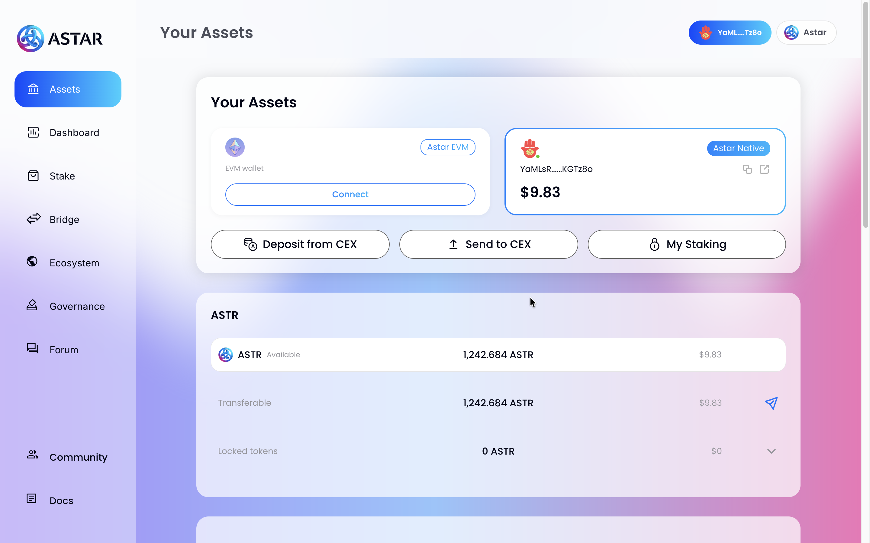 Your Assets page, Astar Native wallet connected